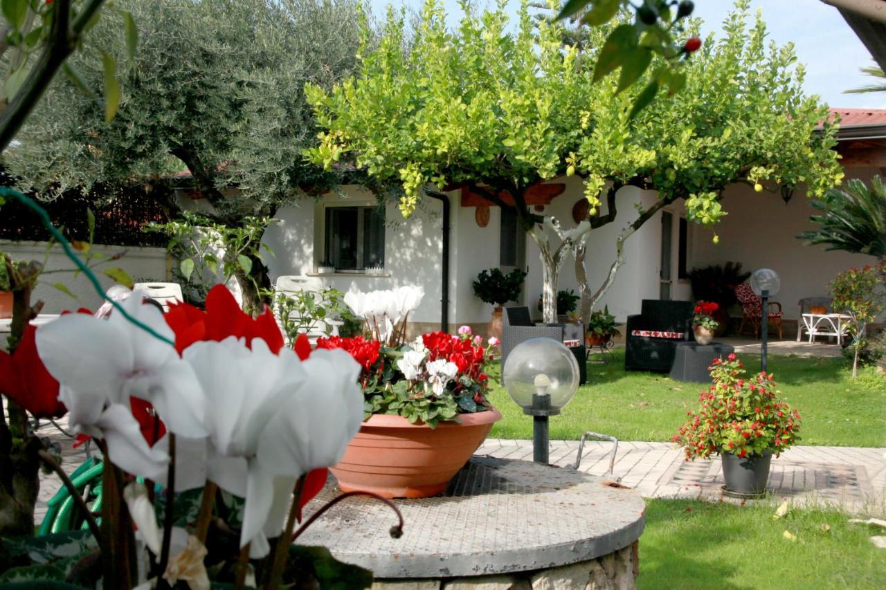 Villa Cecilia Bed And Breakfast Cellole Eksteriør billede